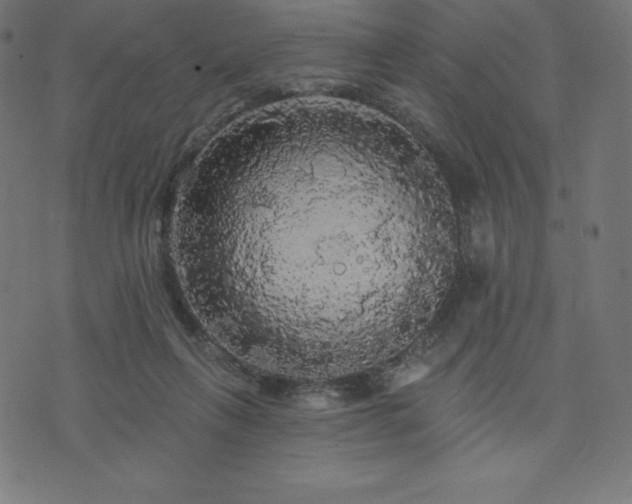 X0000074010263200608211429