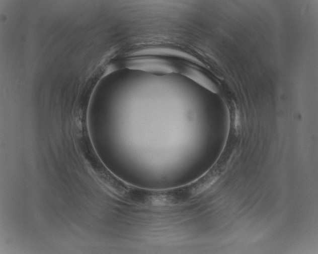 X0000074010264200608211429