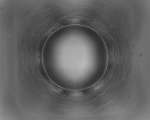 X0000074010274200608211429