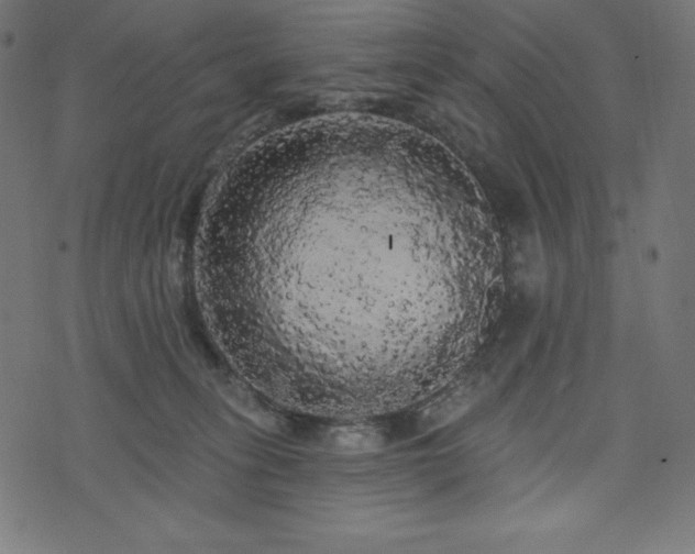 X0000074010275200608211429