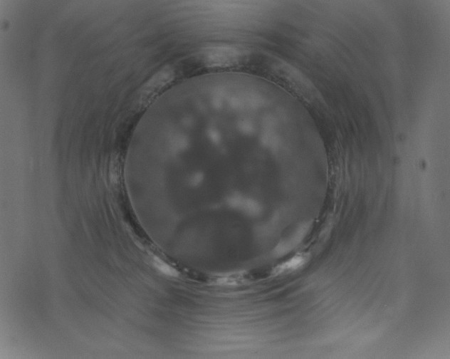 X0000074010277200608211429