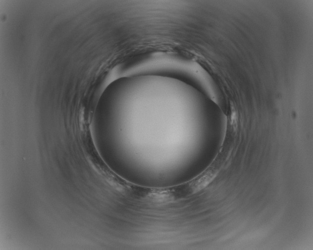 X0000074010280200608211429