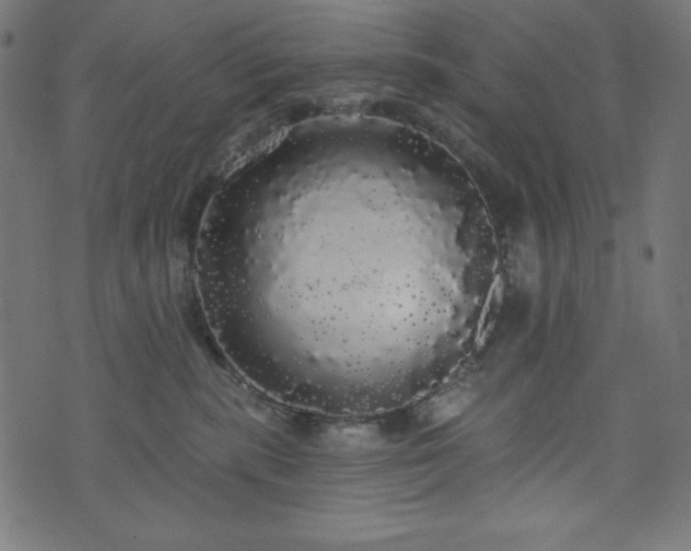 X0000074010283200608211429