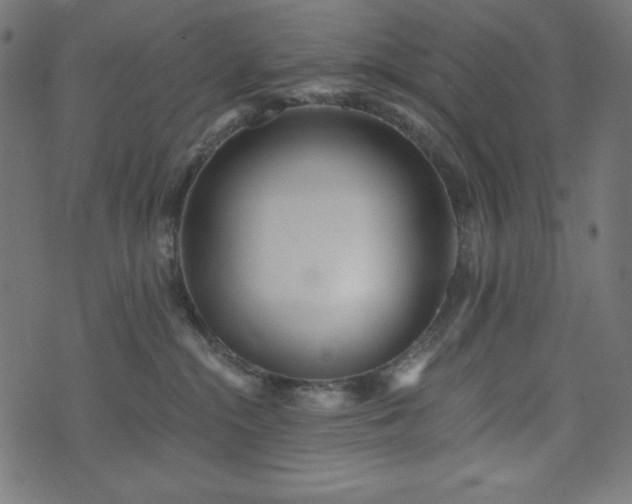 X0000074010284200608211429