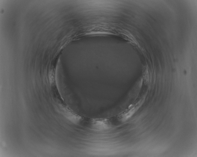 X0000074010285200608211429