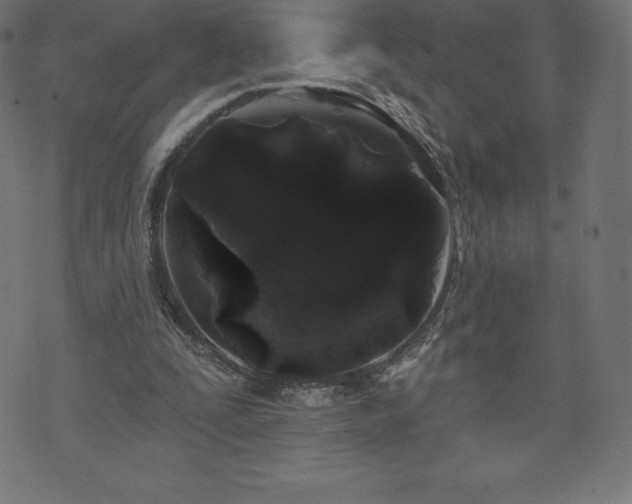 X0000074010295200608211429