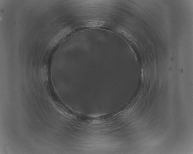 X0000074010303200608211429
