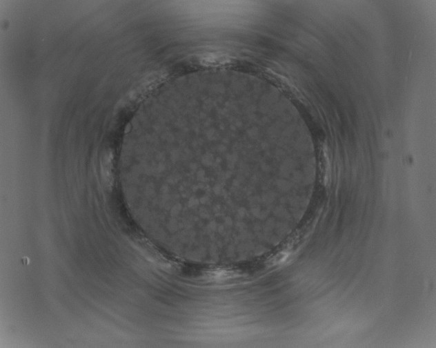 X0000074010319200608211428