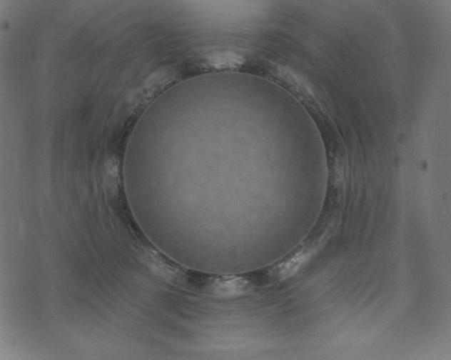X0000074010321200608211428