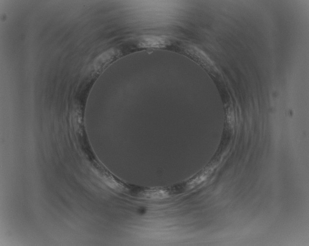 X0000074010322200608211428