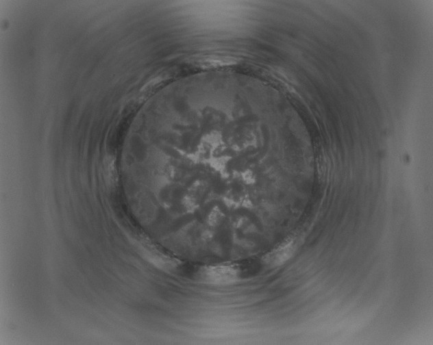 X0000074010327200608211428