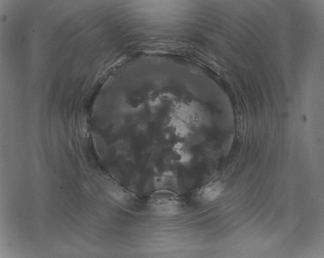 X0000074010331200608211428