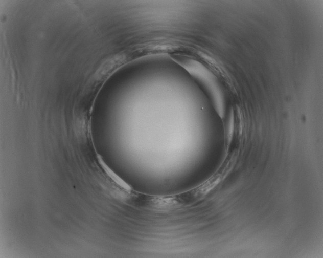 X0000074010333200608211428
