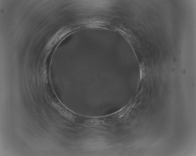 X0000074010339200608211427