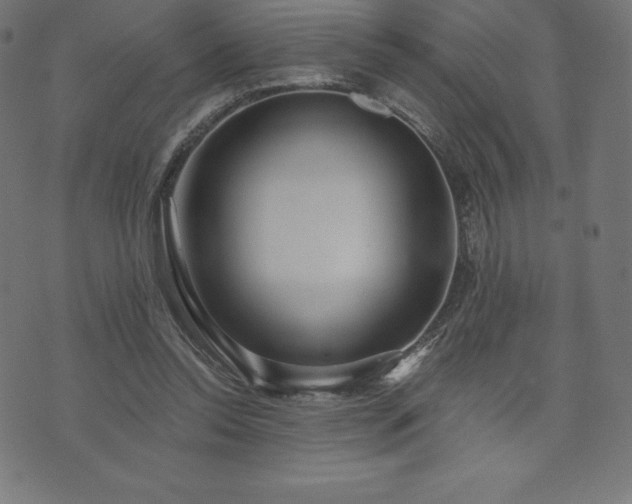 X0000074010350200608211427