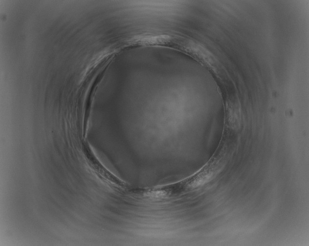 X0000074010357200608211428