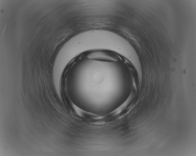 X0000074010362200608211428