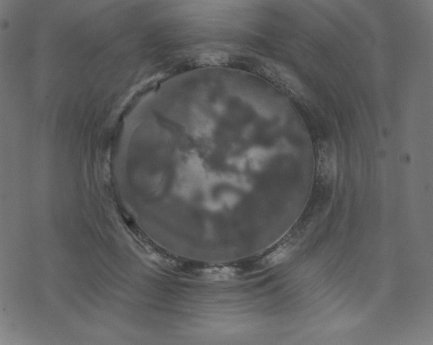 X0000074010363200608211428