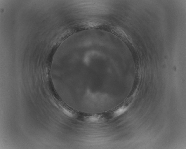 X0000074010366200608211428