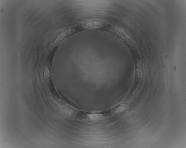 X0000074010371200608211428
