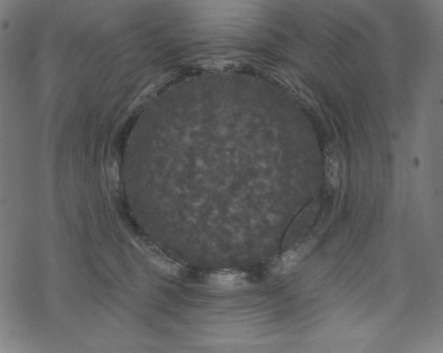 X0000074010375200608211428