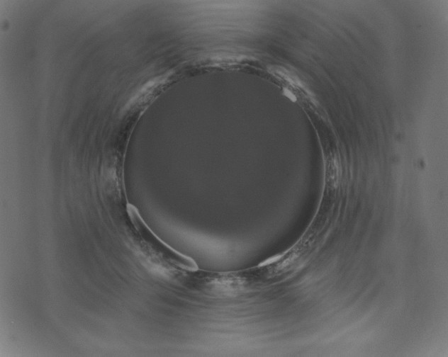X0000074010415200608211427