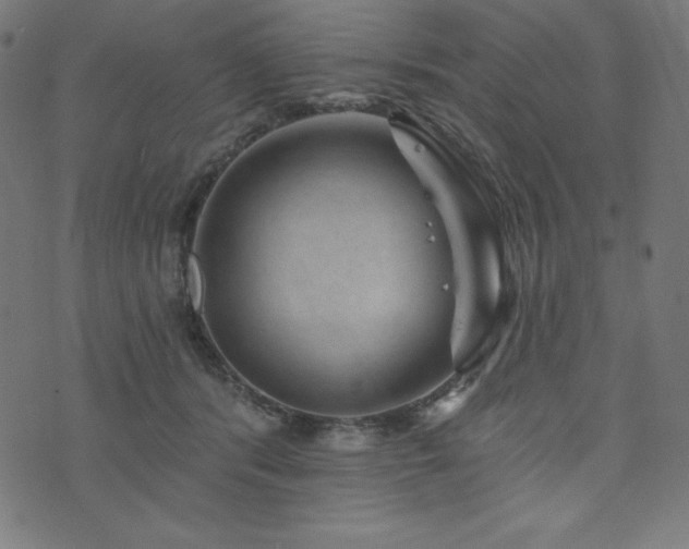 X0000074010416200608211427