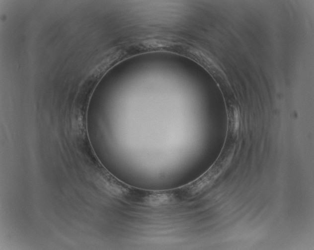 X0000074010418200608211427