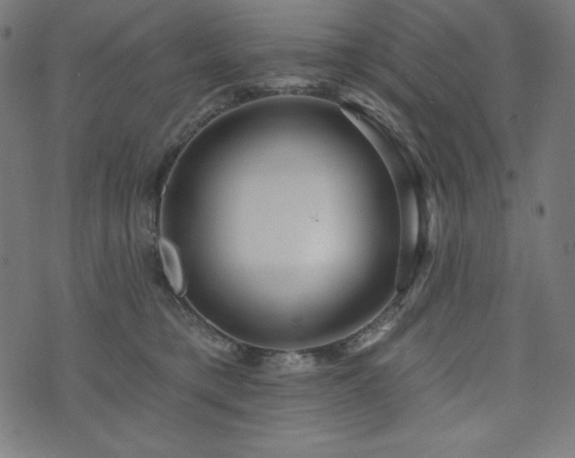 X0000074010421200608211427