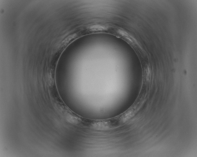 X0000074010422200608211427