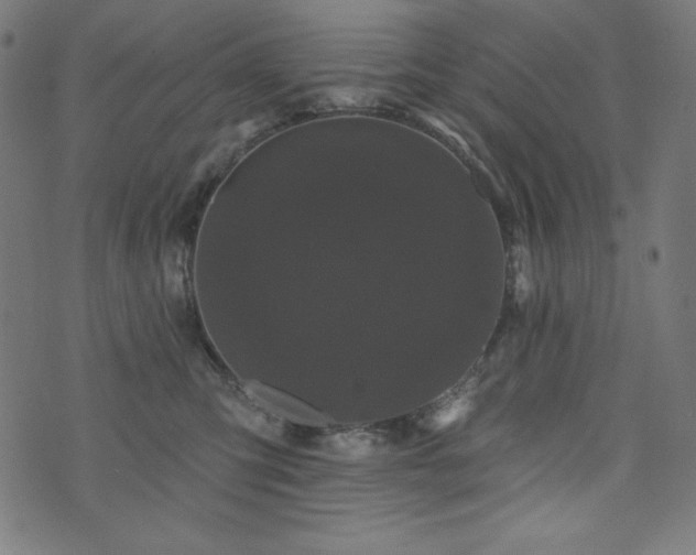 X0000074010423200608211427
