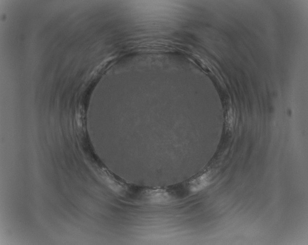 X0000074010424200608211427