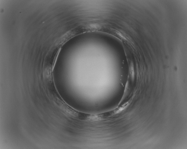X0000074010425200608211427