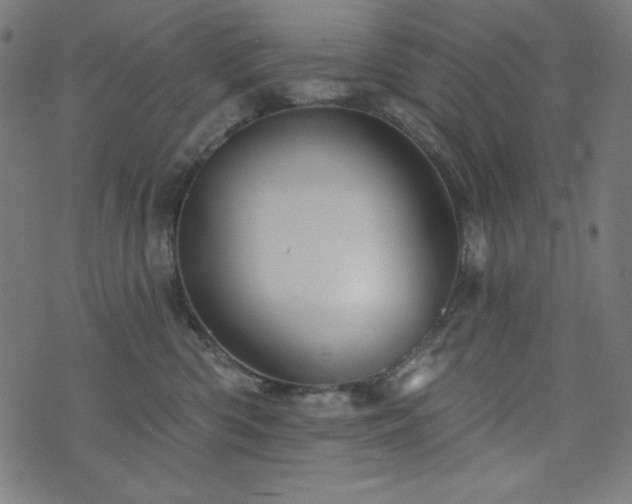 X0000074010426200608211427