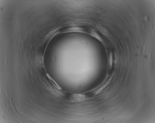 X0000074010429200608211426