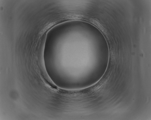 X0000074010433200608211426