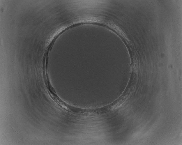 X0000074010434200608211426