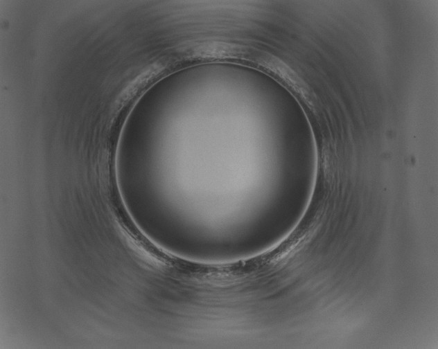 X0000074010445200608211426