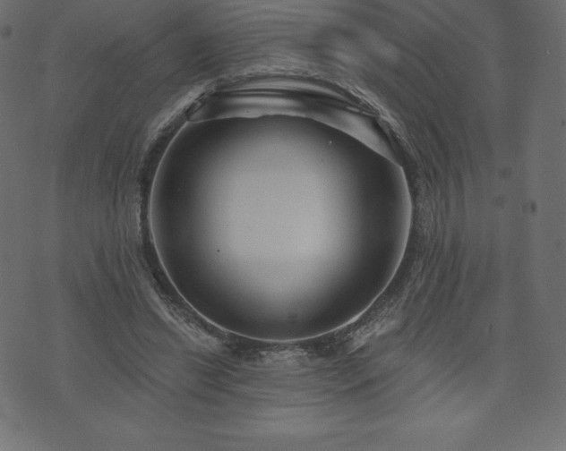 X0000074010446200608211426