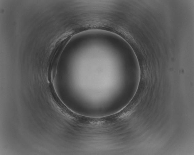 X0000074010450200608211426