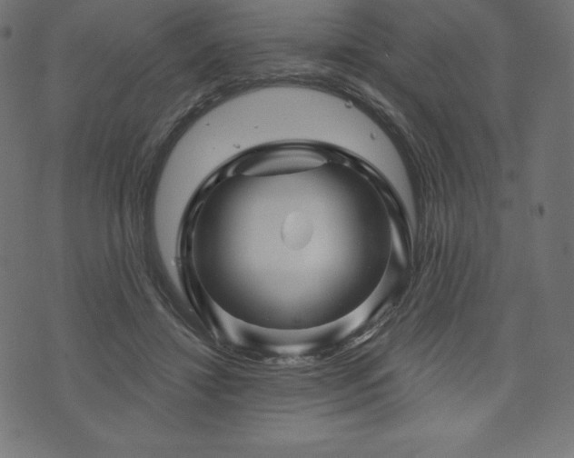 X0000074010452200608211426