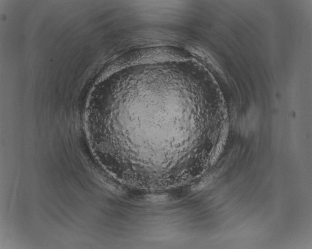 X0000074010457200608211426