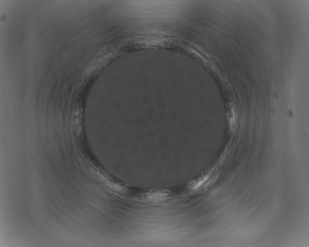 X0000074010462200608211426