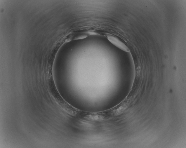 X0000074010464200608211426