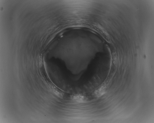 X0000074010471200608211426