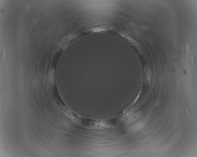 X0000074010475200608211426