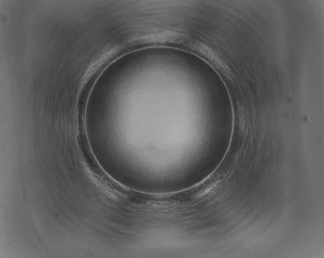 X0000074010486200608211425