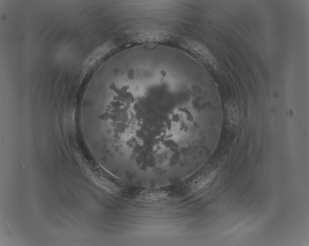 X0000074010491200608211425