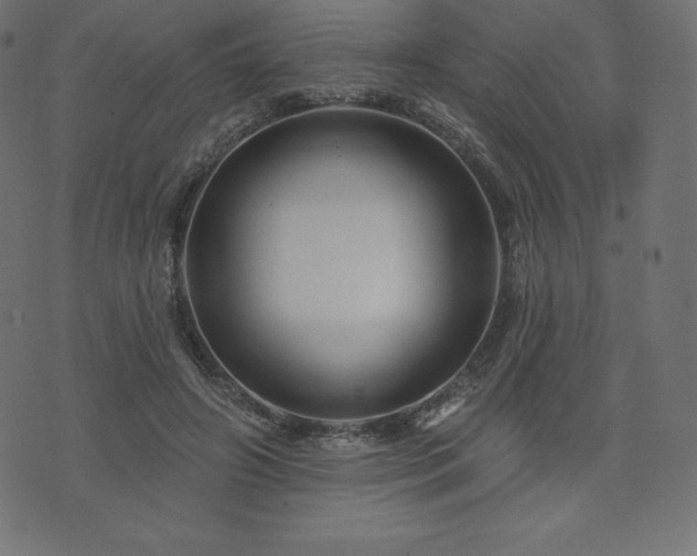 X0000074010498200608211425
