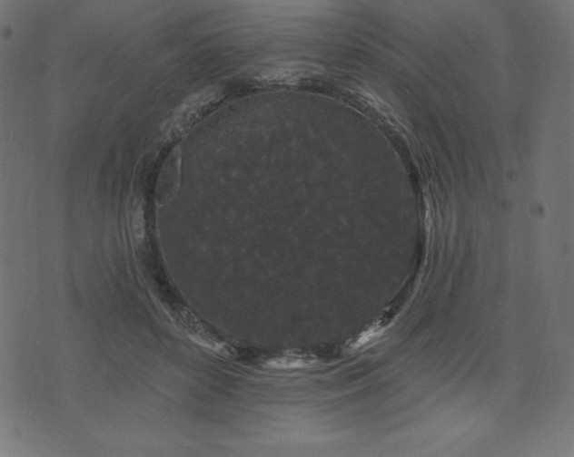 X0000074010504200608211425